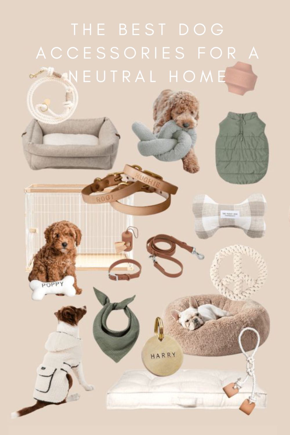 the best dog accessories for a neutral home 